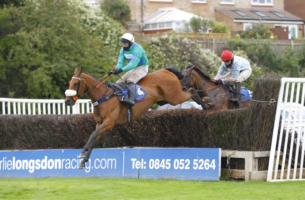 Mon Palois jumping the last in front.. Thanks to Steve Davies for the photo