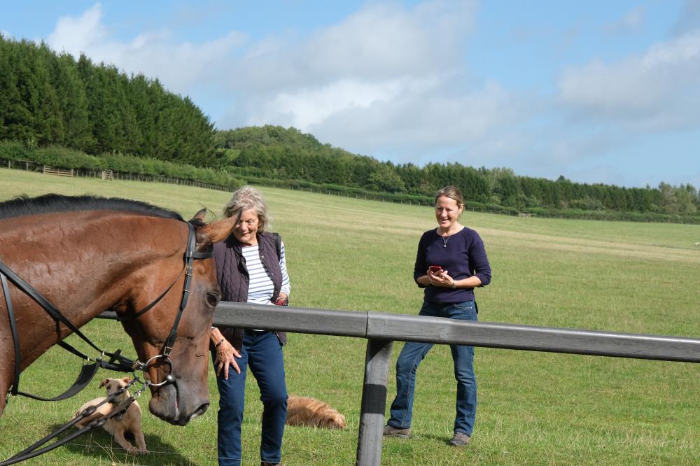Gwen Meacham watching her horse Yesandno