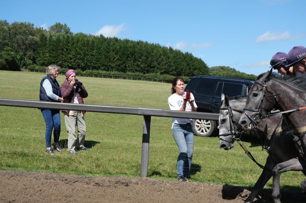 Annabel taking a photo of her horses working