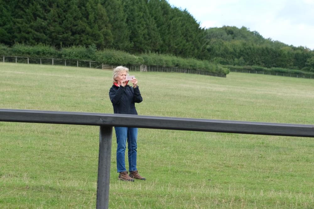 Mary Dulverton videoing her horses
