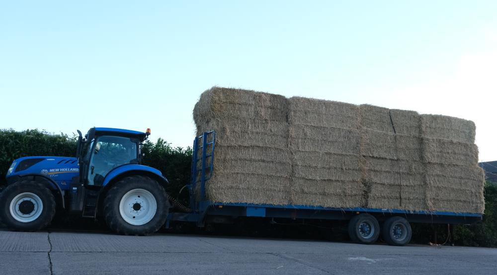 Latest load of straw