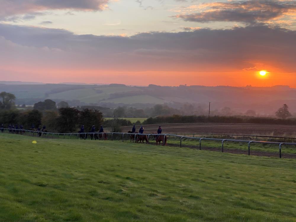 A stunning view over the gallops this morning