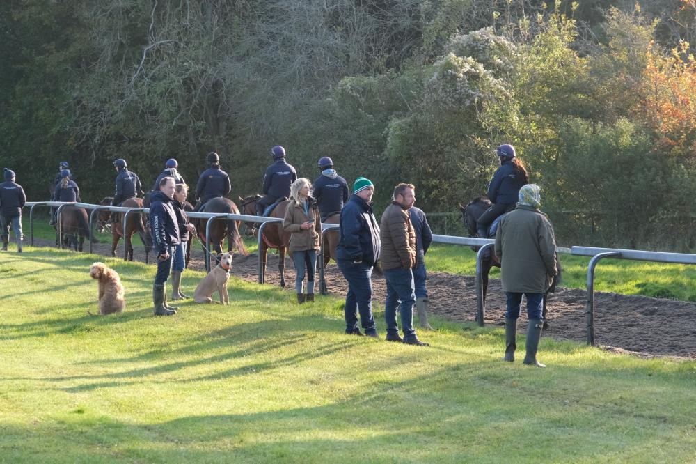 All our visiting owners viewing their horses on the gallops this morning