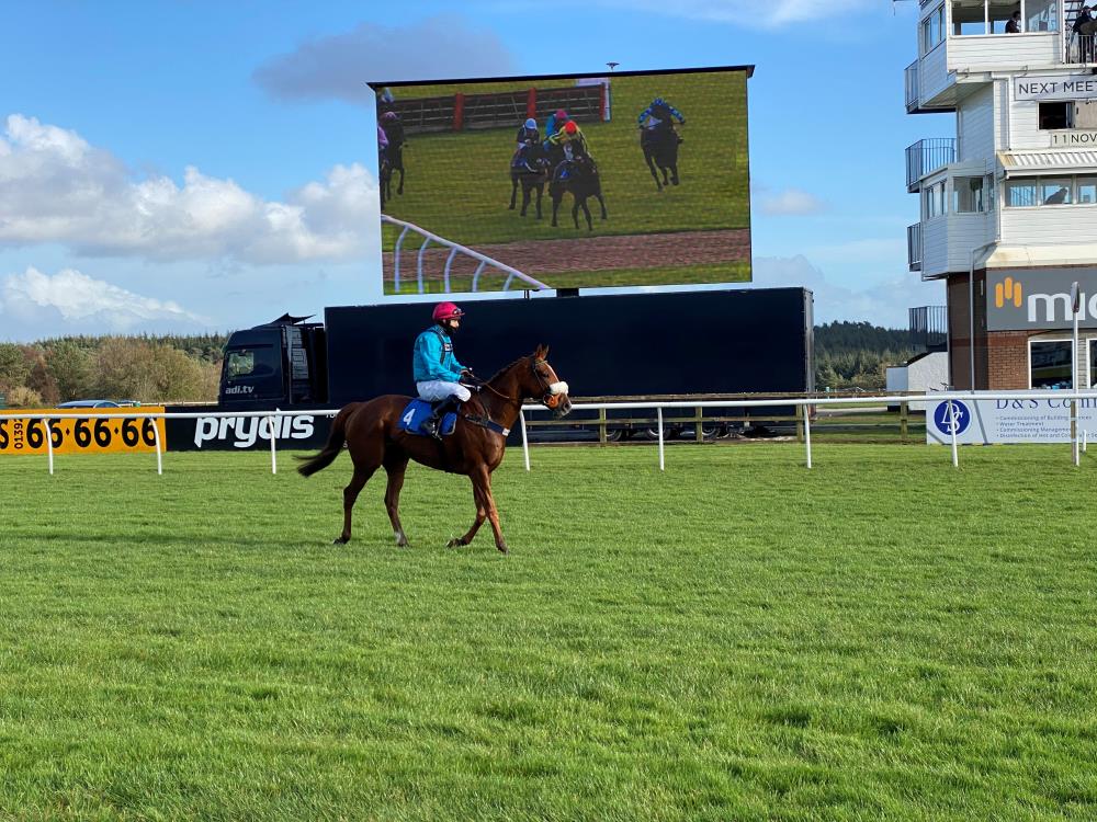 Inca Rose passing the big screen after his race