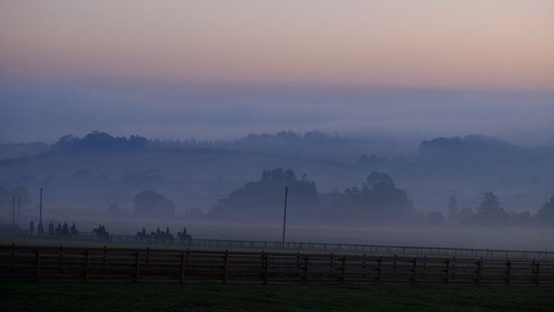 Heading off for first lot on a cold crisp misty morning