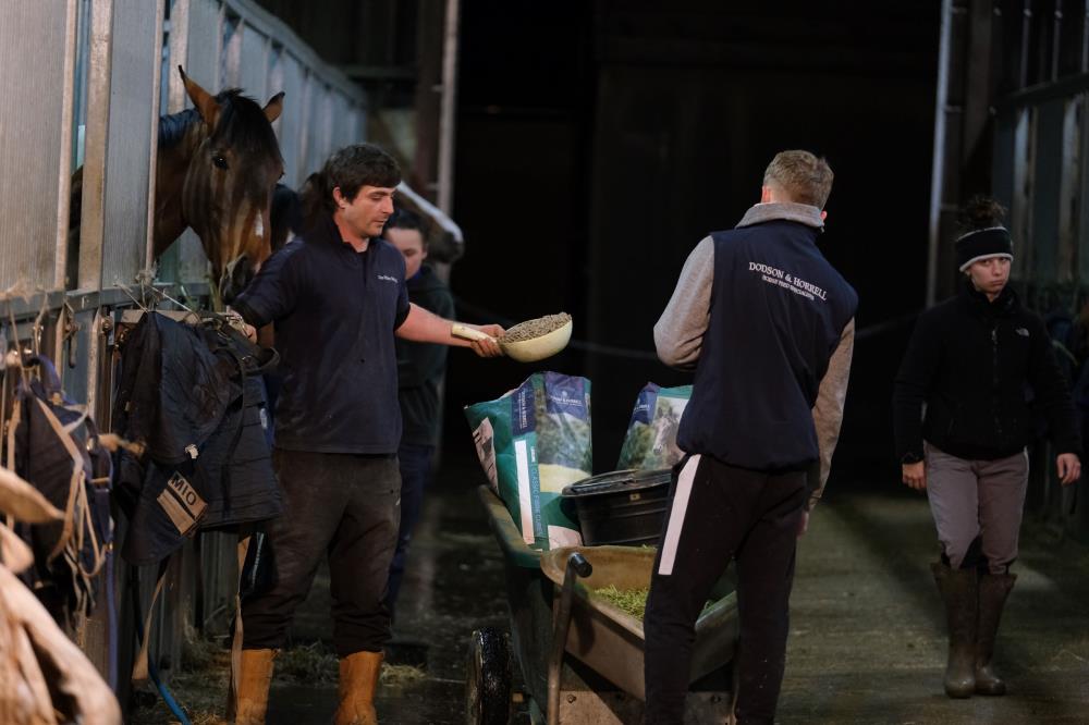 George feeding the horses and then to bed!