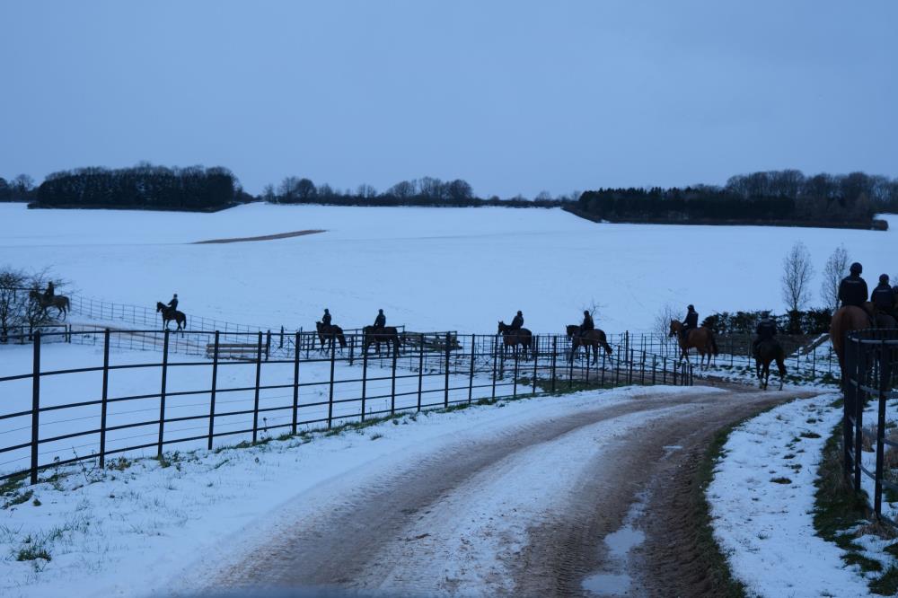 Heading to the gallops