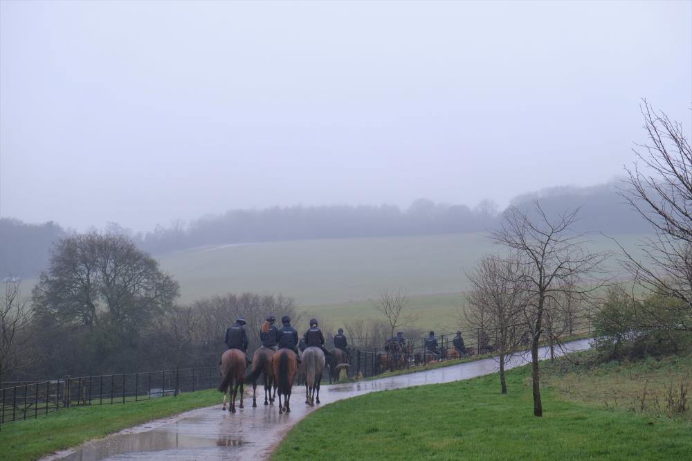 Heading to the gallops second lot.. slightly different view from 24 hours ago