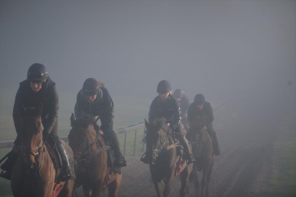 Cantering in the fog