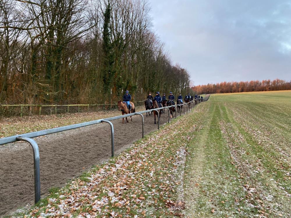 Heading down the gallop after first lot.. Grass frozen solid