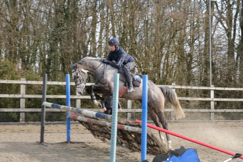 One For Rosie jumping yesterday in Laura Collett's school