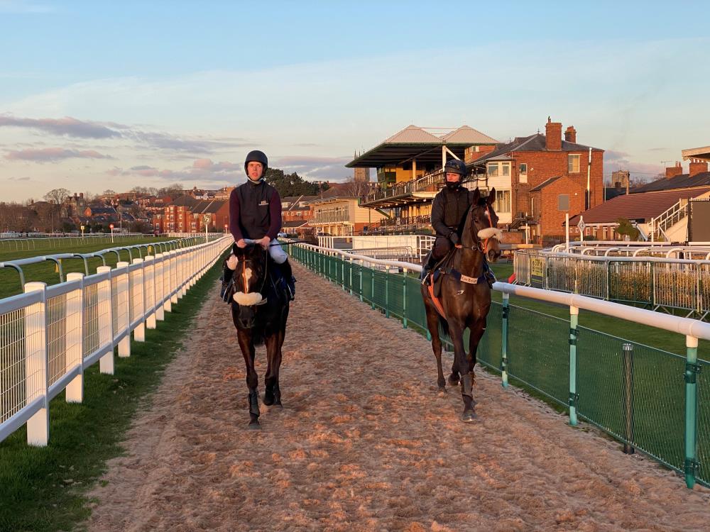 Happygolucky and Vinndication return from working at Wartwick