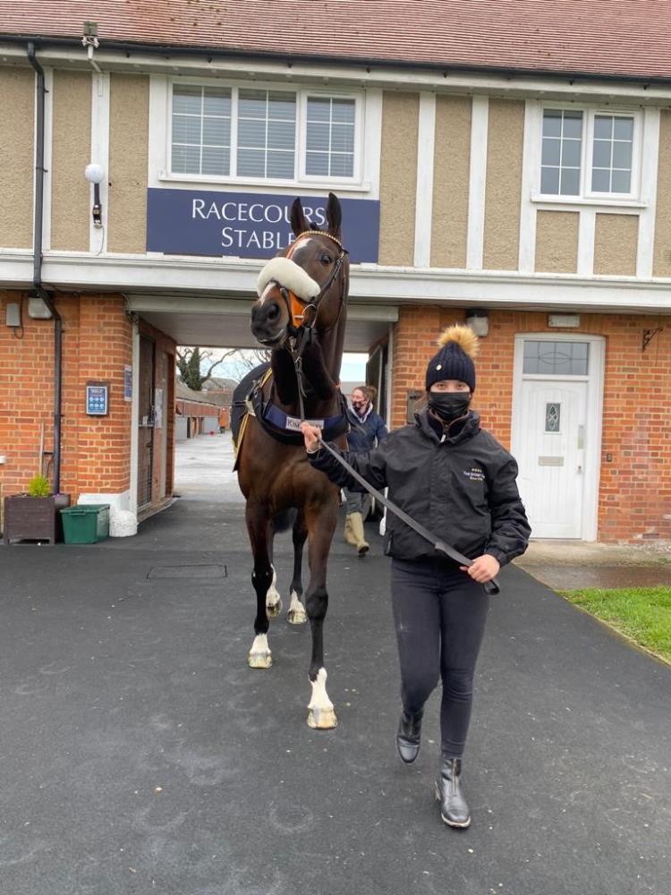 Hes No Trouble leaving the Newbury racecourse stable