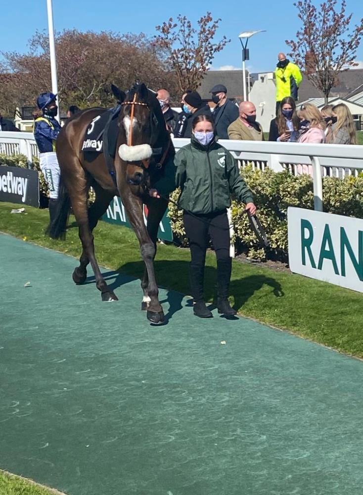 Epoir de Romay looking fantastic in the paddock before the race