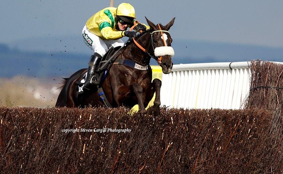 Happygolucky jumping the last.. Thanks for the picture Steven Cargill