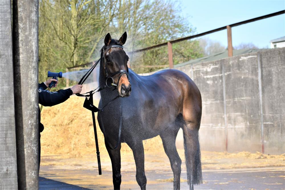 Washing off after exercise