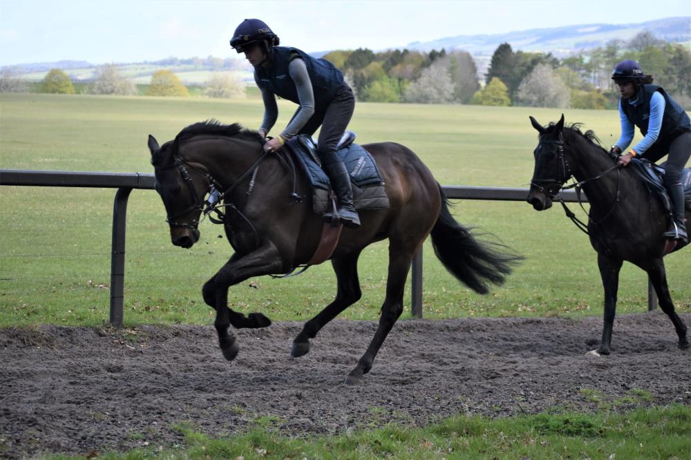 Getaway x Charming Leader cantering