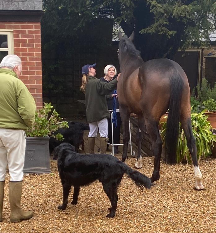 Penny Perriss talking to her horse Wandrin Star.. Home for holidays..