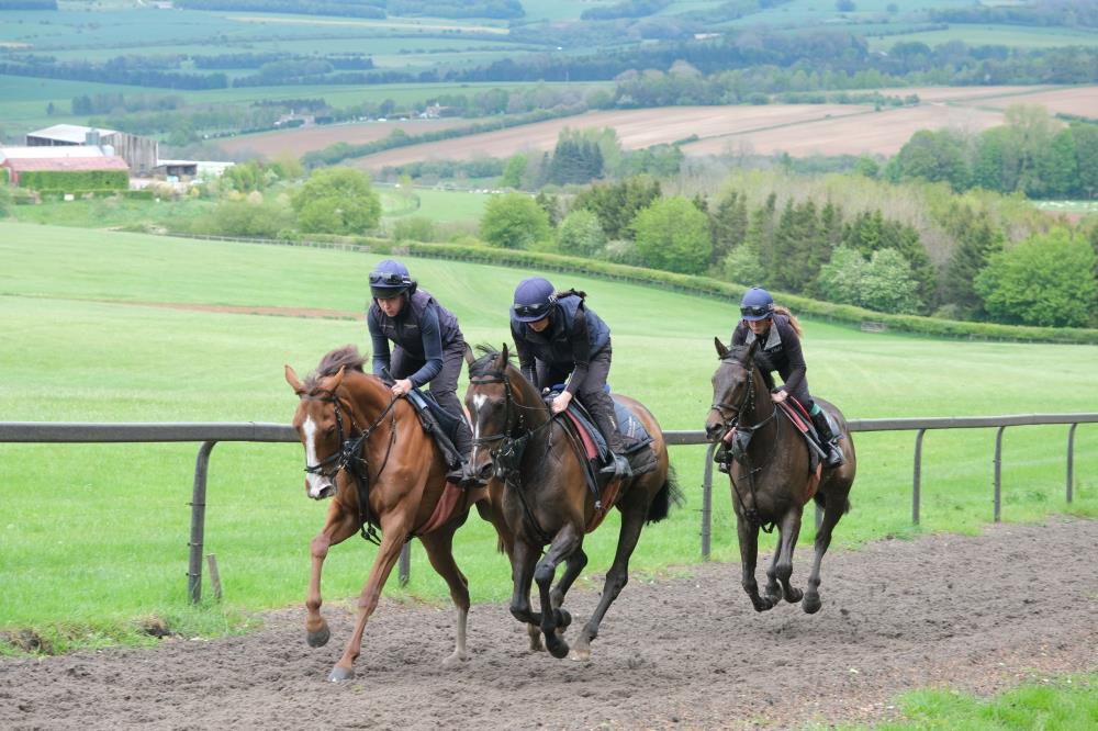 Lord Apparelli and Gerard Mentor leading the Getaway gelding