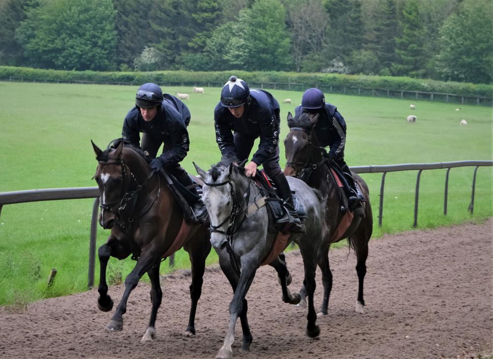 Gerard Mentor and Grey Flint with Blazon in behind