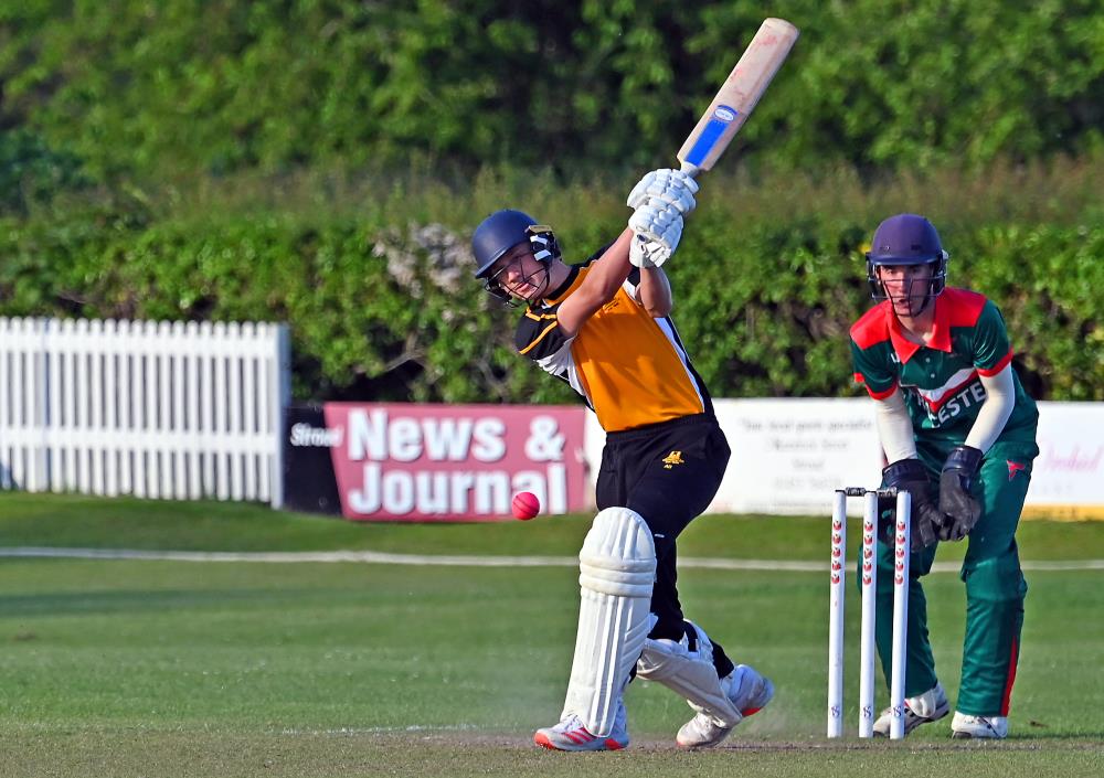 Archie in action last night with borrowed bat! Brian Rossiter took this photo