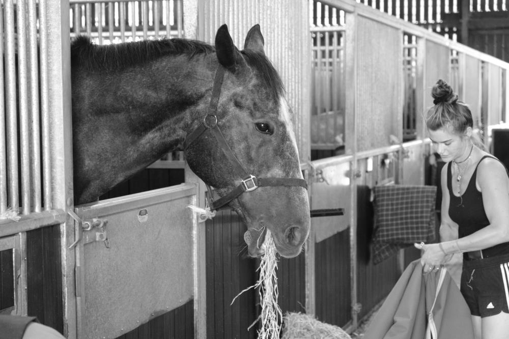 Tourne Bride tucking in to his haylage
