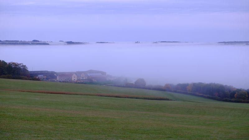 The early morning mist over Thorndale