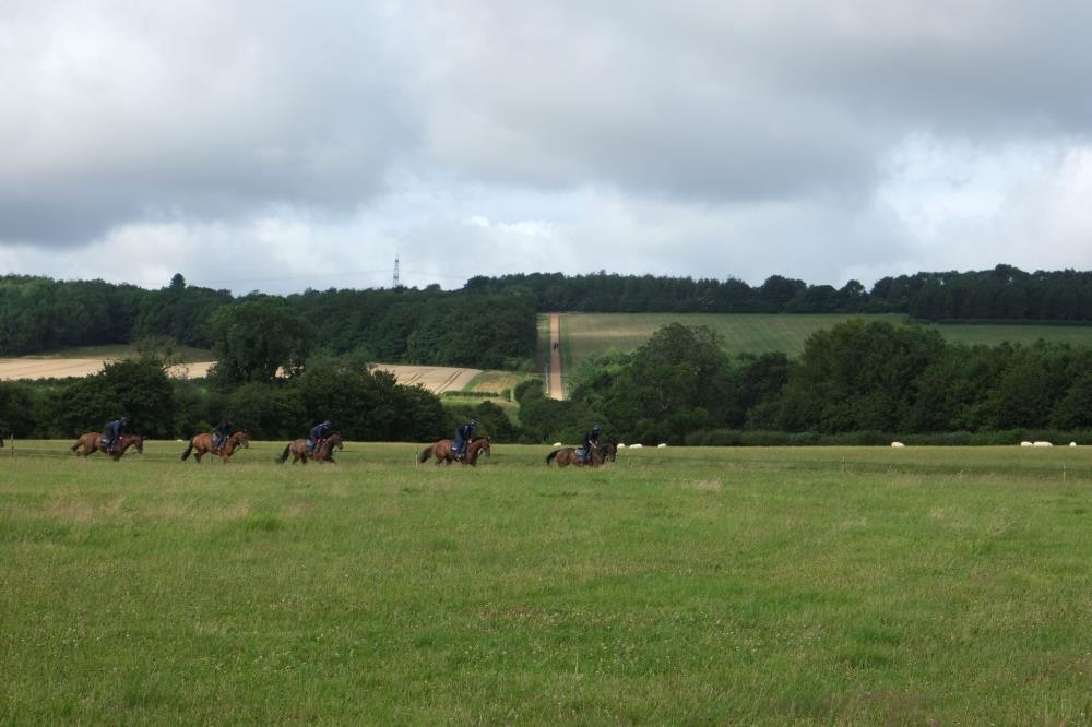 Two gallops in use