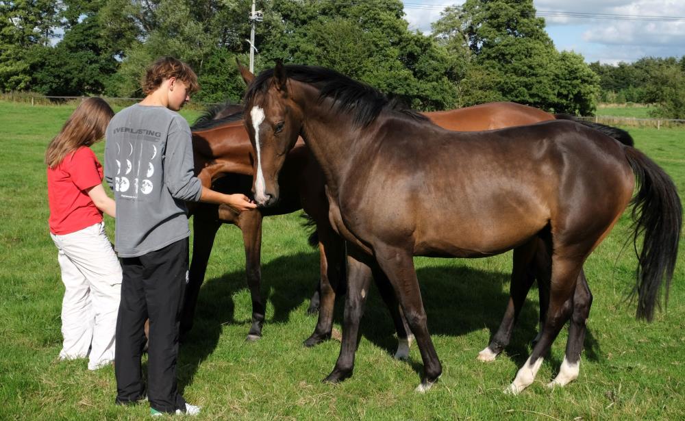 Georgina Wills and Archie with Destroytheevidence and his mates out in the fields on Saturday
