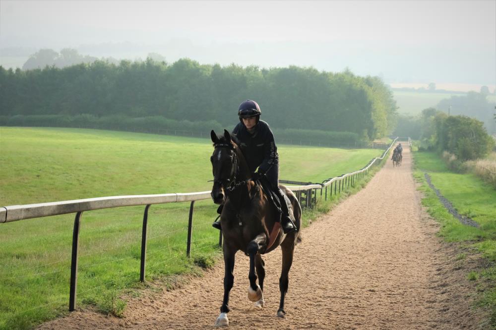 Hebe and Wandrin Star leading first lot this morning