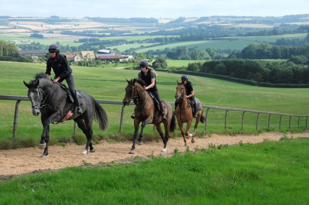 Tourne Bride leading two babies.. Magical Escape and The Flemensfirth gelding