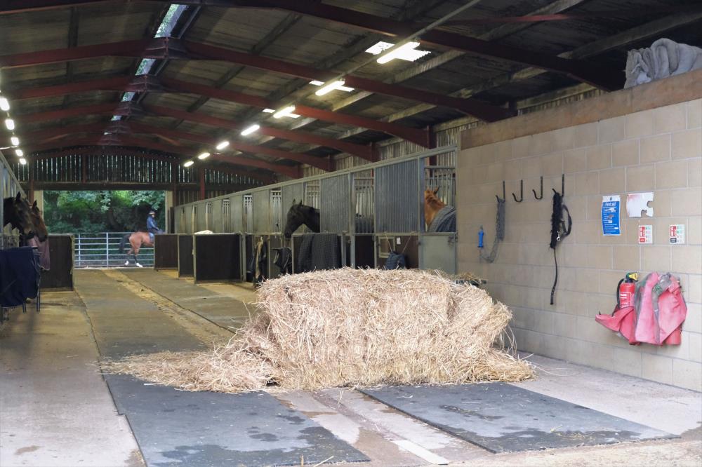 We put new rye straw bedding in the stables on Mondays, Wednesday and Fridays