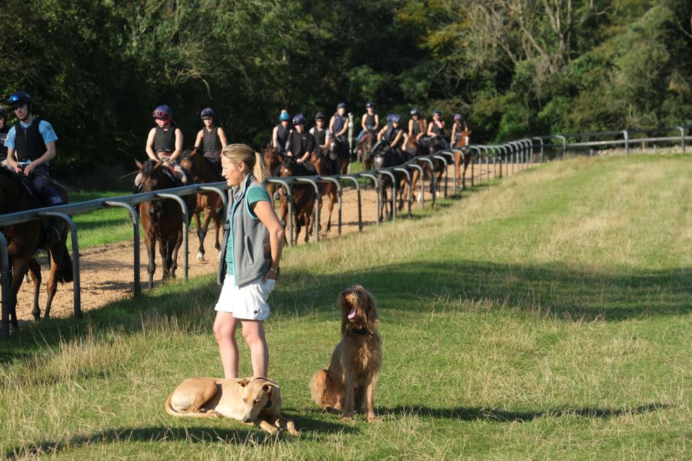 Mrs B and the dogs admiring the horses..