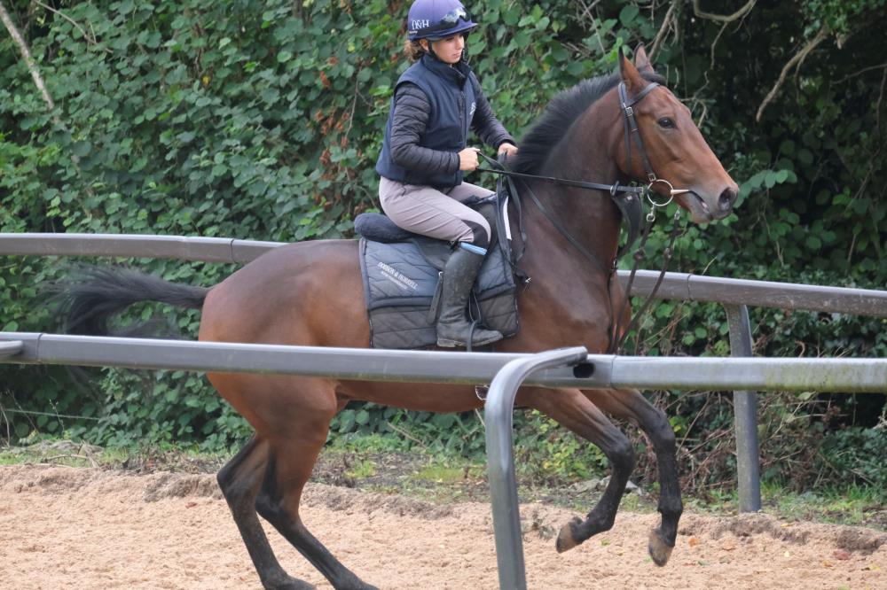 Millie on the 3 year old by Mahler out of Emily Gray