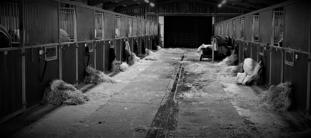 Evening stables last night