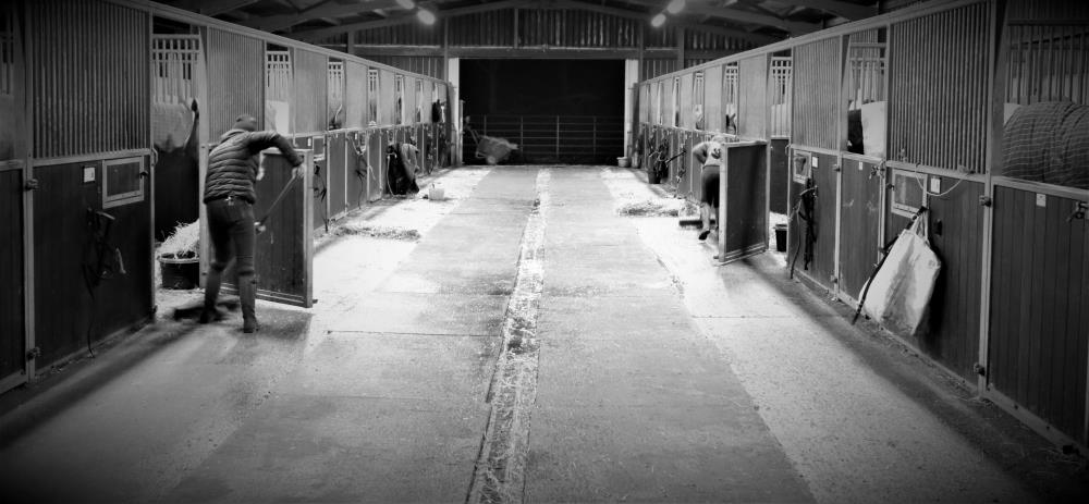 Sweeping up and tyding the yard when all finished.. bed time for the horses.
