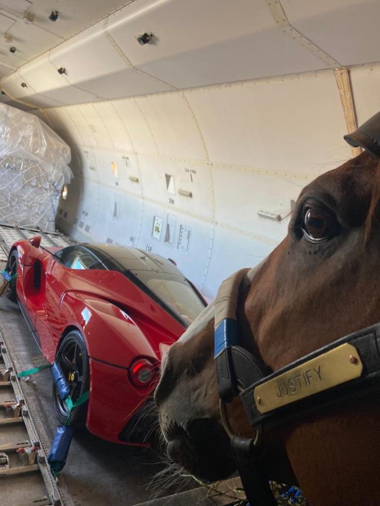Justify probably the worlds most expensive racehorse on his plane with a cheaper version of horse power!!