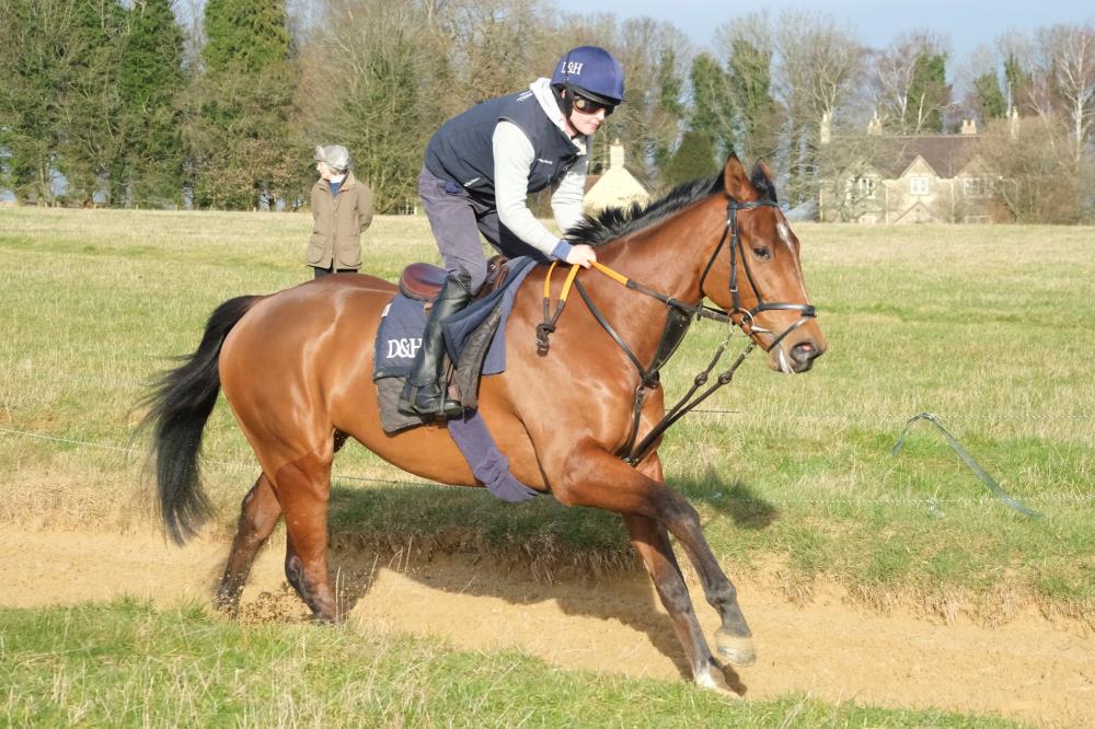 The 4 year old Getaway out of Liane de Pougy.. There is one leg for sale in this stunning horse.. Call Peter 07901763643