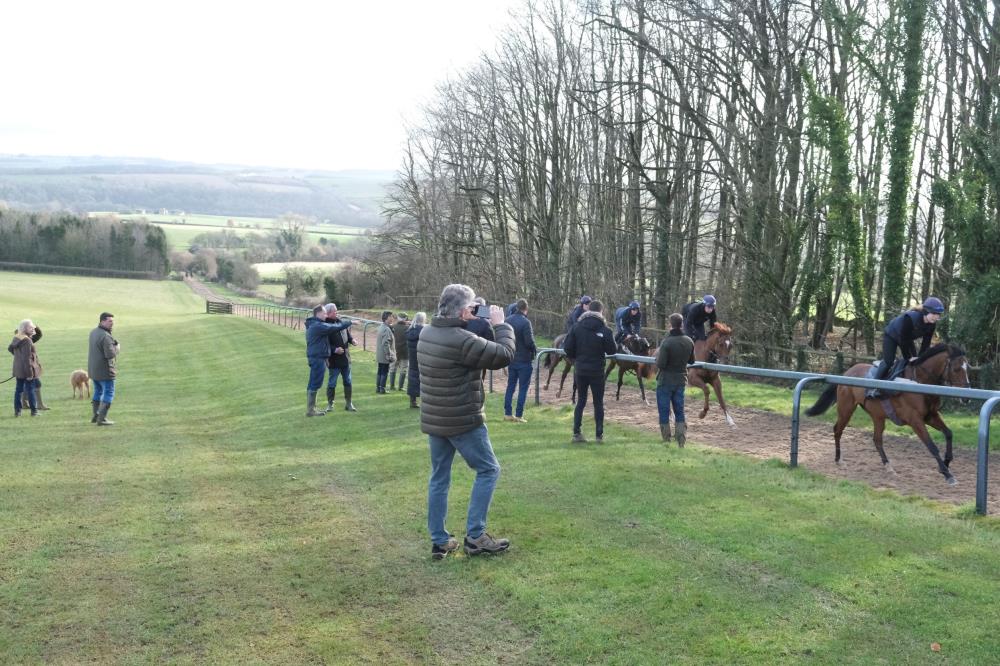 This mornings team watching the horses