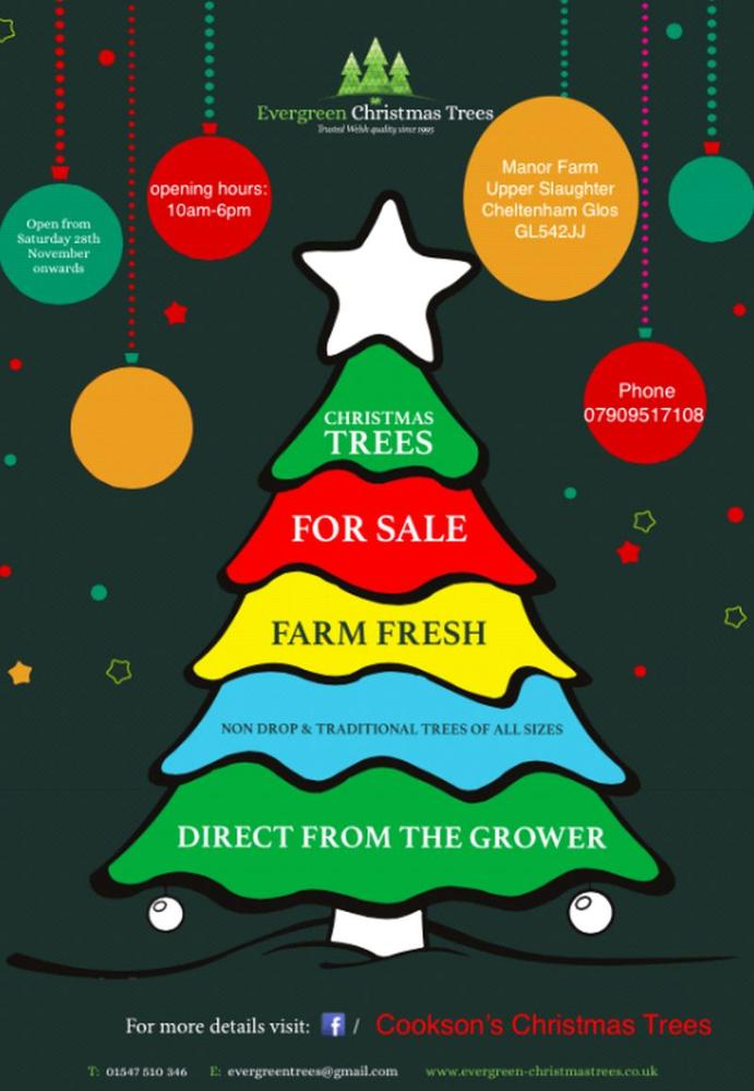 Ed Cookson's Christmas Tree sale...