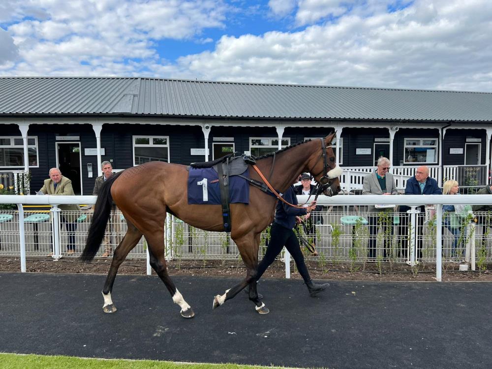 Peaked Too Soon at Uttoxeter yesterday