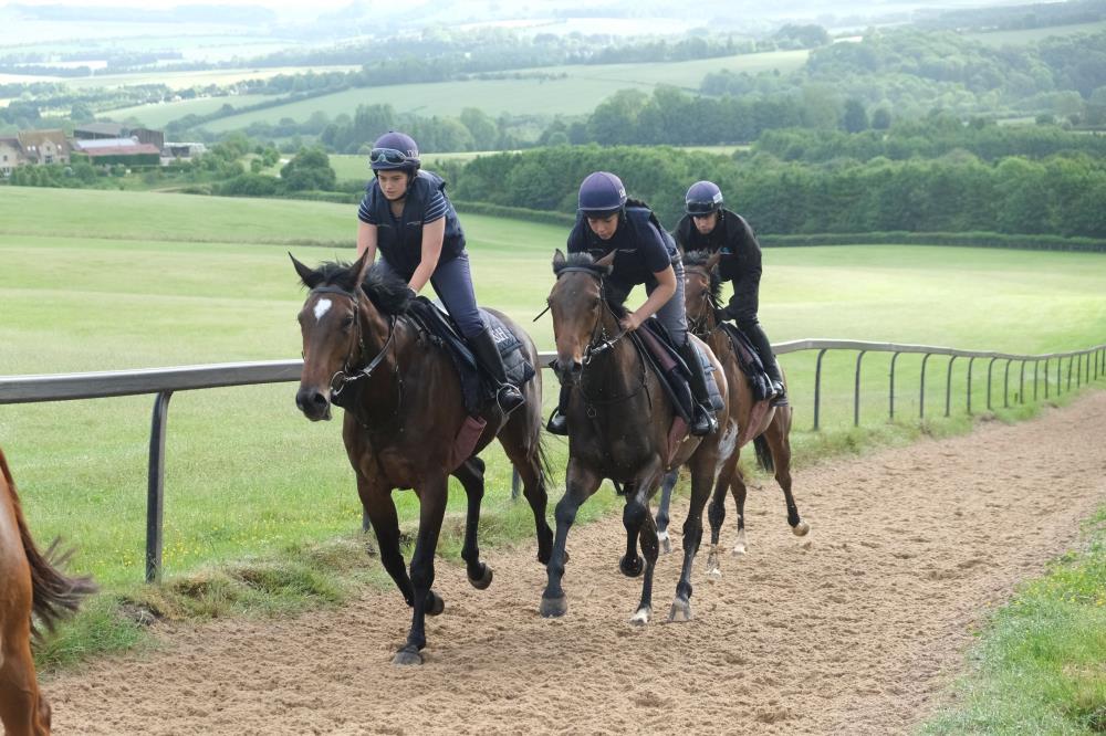 5 year old mare by Schiaparelli out of Frairie Reel and the 4 year old sister by Black Sam Bellamy