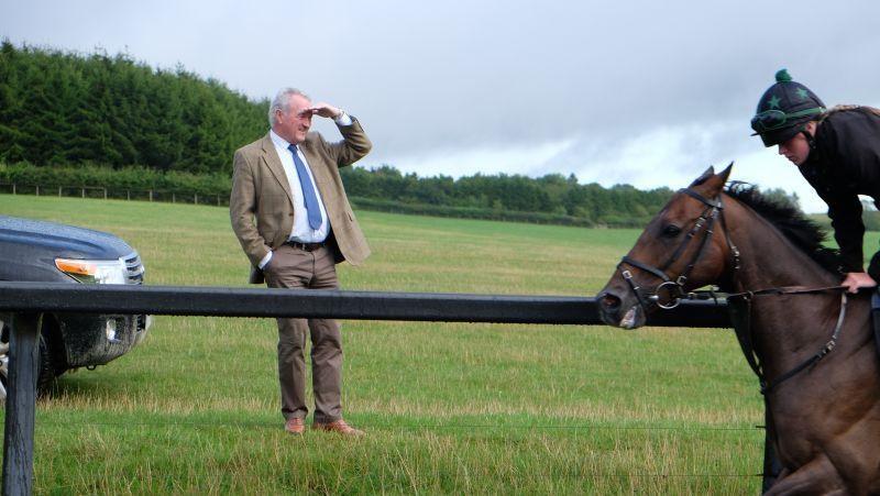 Kevin Clancy watching The Rainbow Hunter on the gallops
