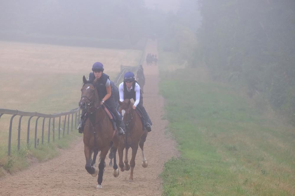 Mist came down for the second canter