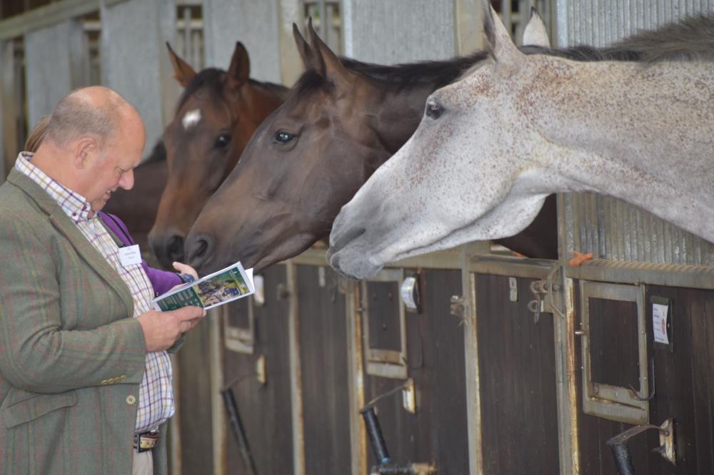 Graham Wiblin attracting the horses attention