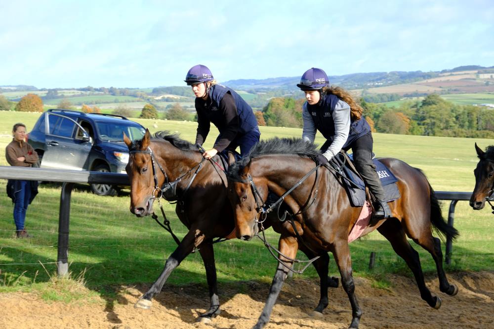 Two 3 years olds.. The Jack Hobbs gelding and The Kemble Brewery