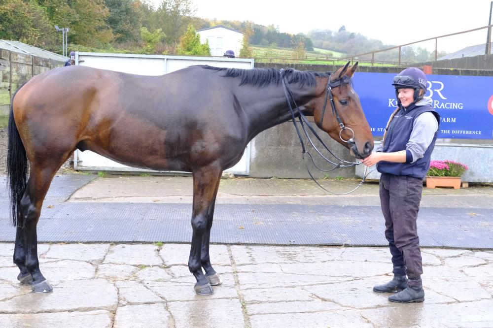 The 3-year-old gelding by Jack Hobbs out of Miss Mobot......Two legs left For Sale