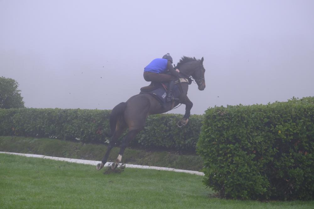 Wandrin Star practicing over the cross country fences at Cheltenham 