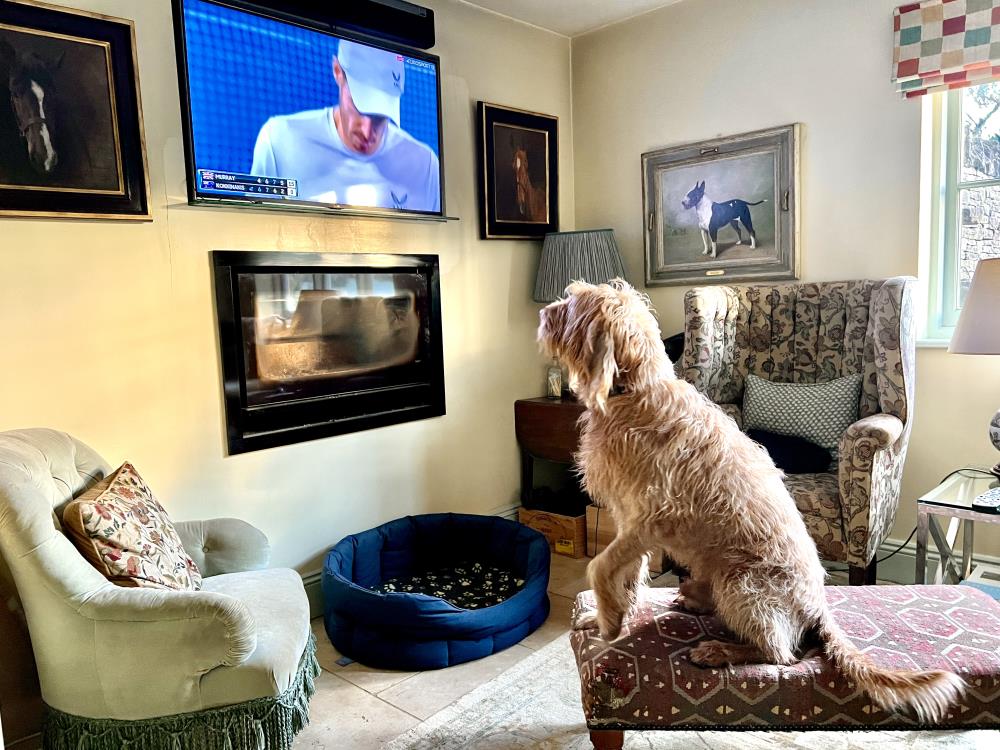 Dougie watching Andy Murray