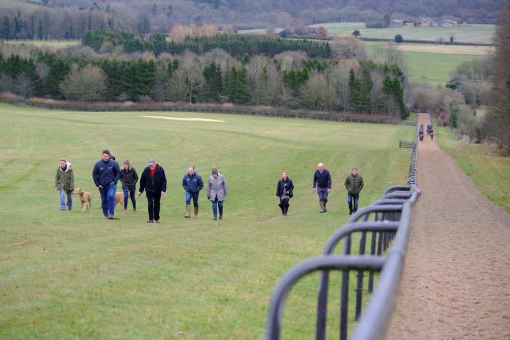 Walking up the gallops